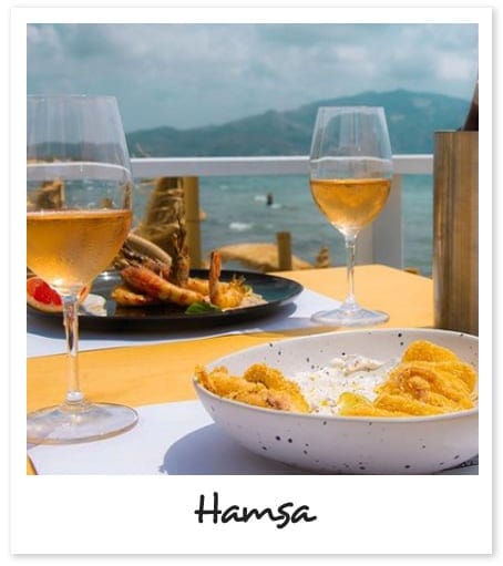 Hamsa